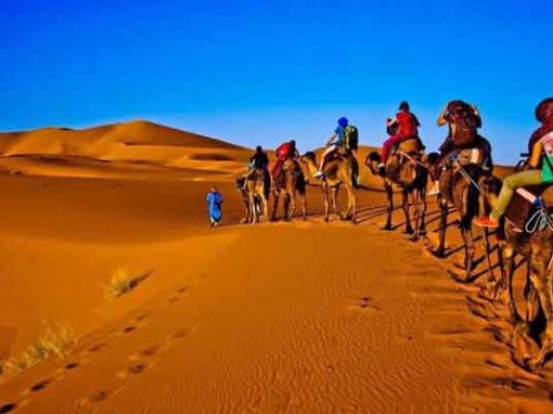 Amazing 5 Days fes to Marrakech desert tour
