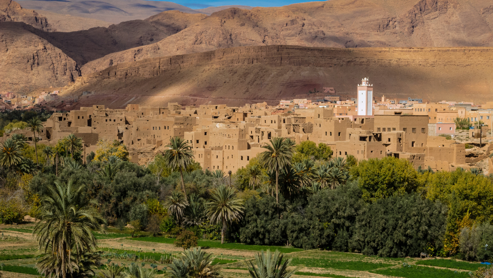 best of 4 days tour from marrakech to fes via desert
