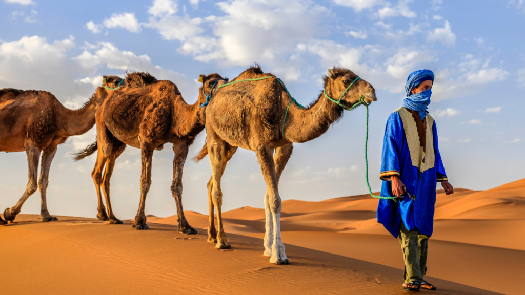7 days Fes to Marrakech Desert tour