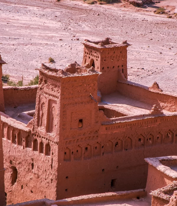 Tours From Marrakech