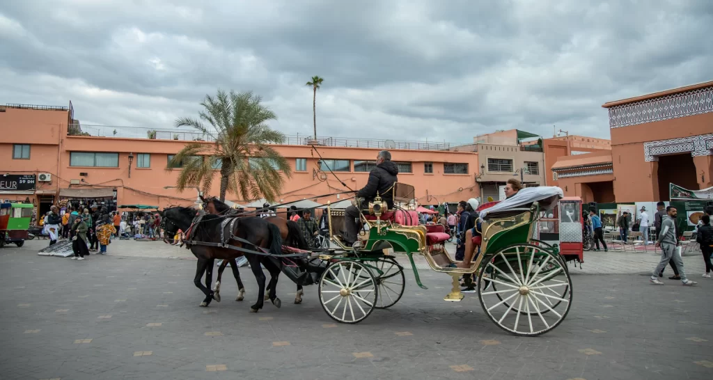 9 days from Fes to Marrakech desert tour