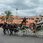 9 days from Fes to Marrakech desert tour