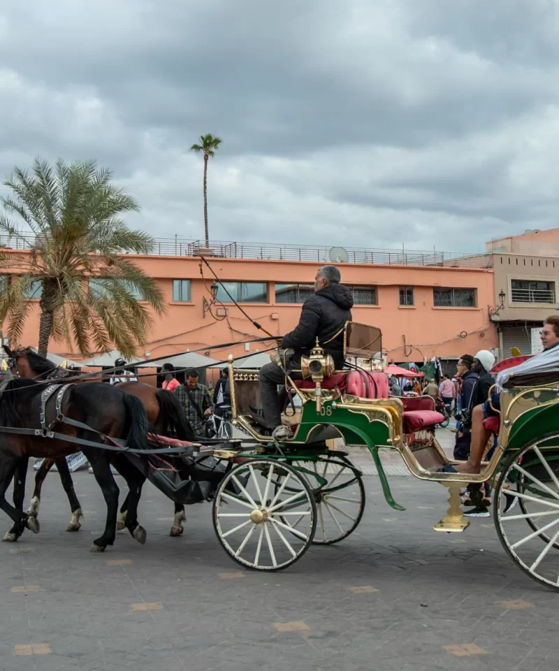 9 days from Fes to Marrakech desert tour